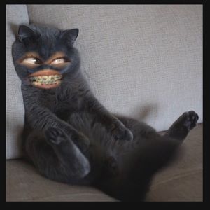 Meet your Posher, Irene